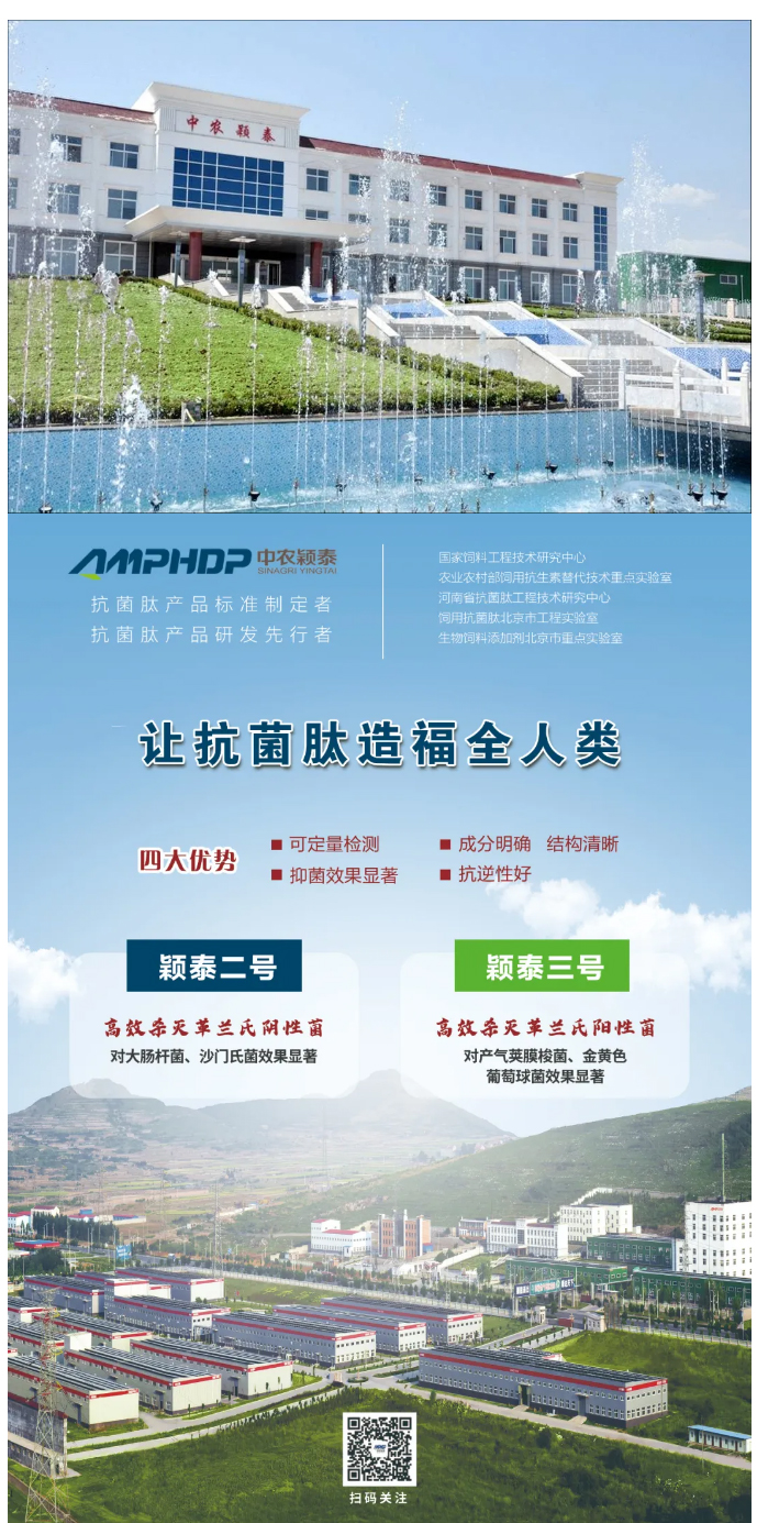 中農穎泰-助力廣西動物營養(yǎng)與飼料學術年會_04