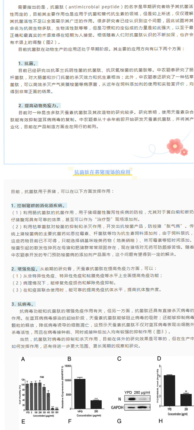 淺談抗菌肽添加劑在養豬現場的應用_02