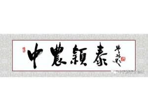 2021年：工作動態，中農穎泰工會順利換屆