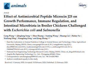 腸桿菌肽對大腸桿菌和沙門氏菌攻毒條件下肉雞生長性能、免疫調節和腸道菌群的影響